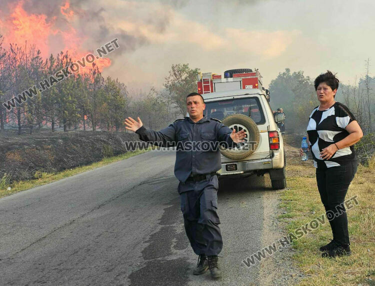 Изгоряха вили и ферма с овце при пожара край Харманли, пострадаха пожарникари