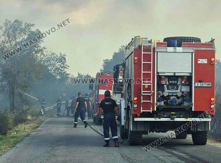 Изгоряха вили и ферма с овце при пожара край Харманли, пострадаха пожарникари