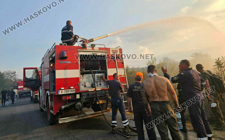 Изгоряха вили и ферма с овце при пожара край Харманли, пострадаха пожарникари