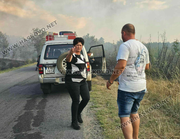 Изгоряха вили и ферма с овце при пожара край Харманли, пострадаха пожарникари