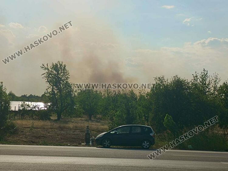 Пожар избухна в гората край Крепост