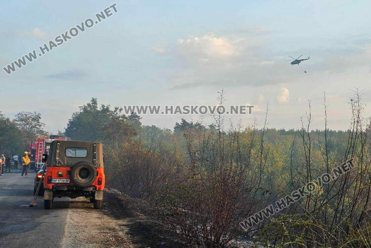 Изгоряха вили и ферма с овце при пожара край Харманли, пострадаха пожарникари
