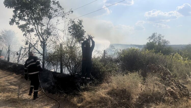 Пожар гори край бензиностанция в Харманли, има опасност от взрив