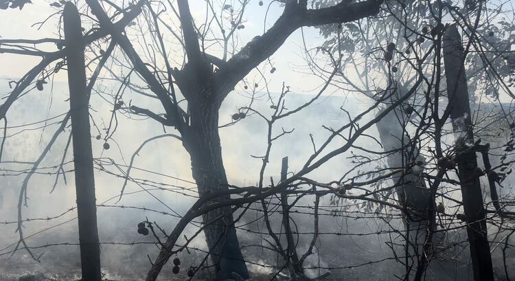 Пожар гори край бензиностанция в Харманли, има опасност от взрив