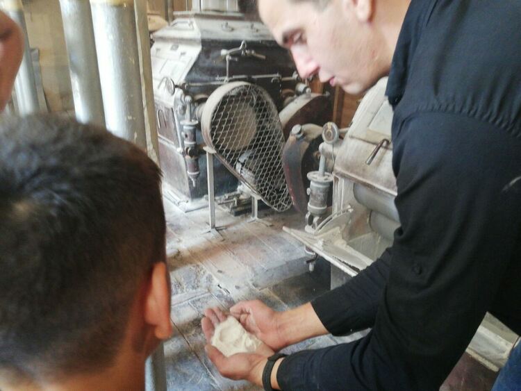 Деца "изминаха" пътя от зрънцето до хляба