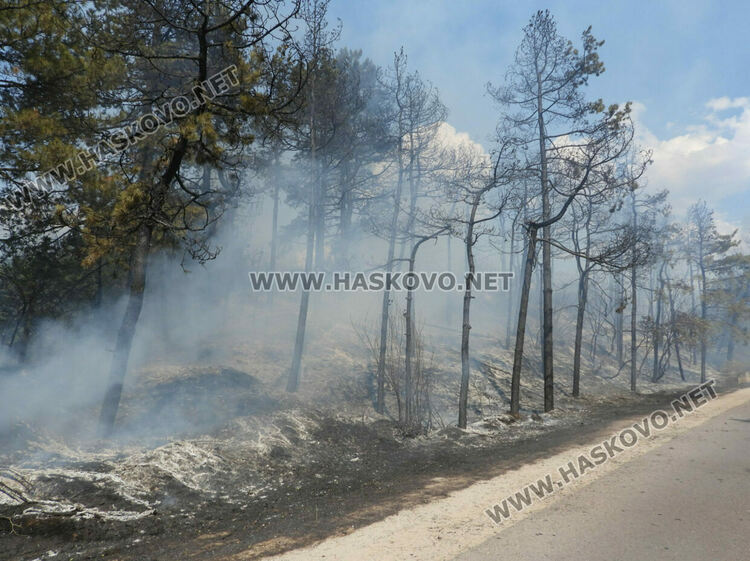Пожар гори край бензиностанция в Харманли, има опасност от взрив