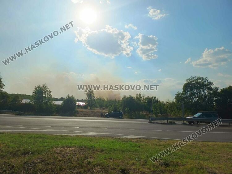 Пожар избухна в гората край Крепост