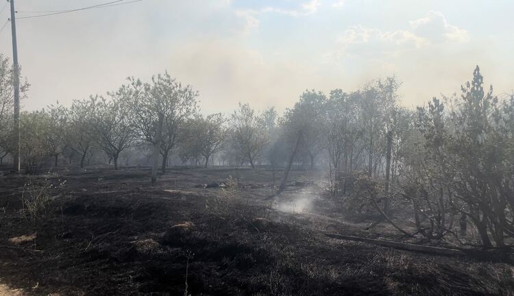 Пожар гори край бензиностанция в Харманли, има опасност от взрив