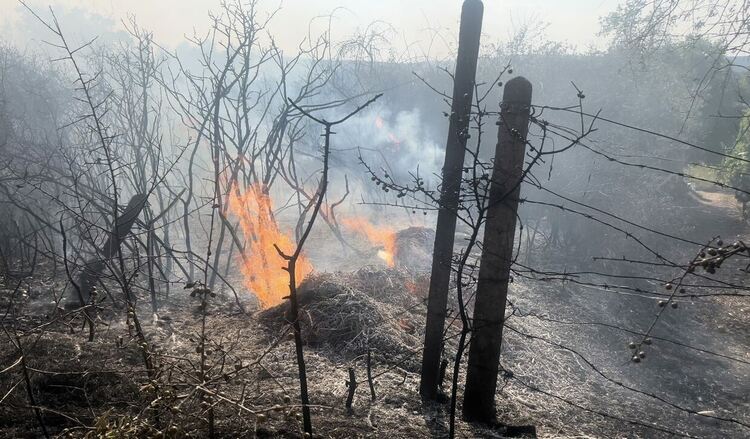 Пожар гори край бензиностанция в Харманли, има опасност от взрив