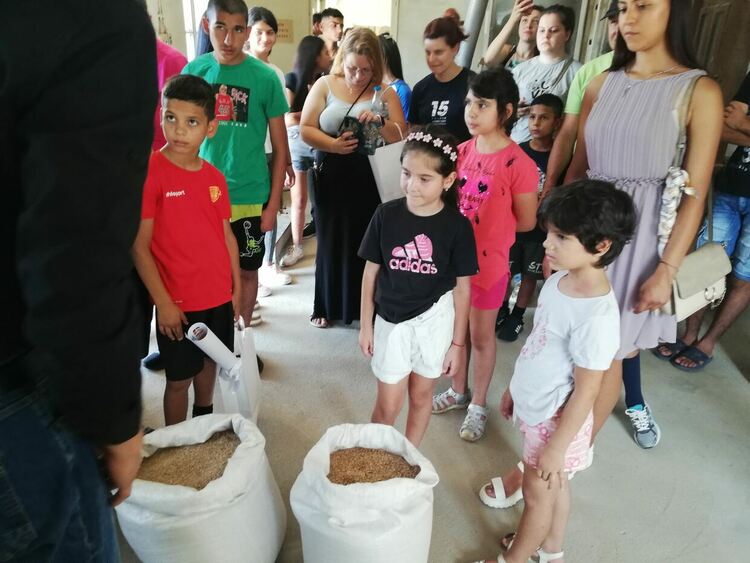 Деца "изминаха" пътя от зрънцето до хляба