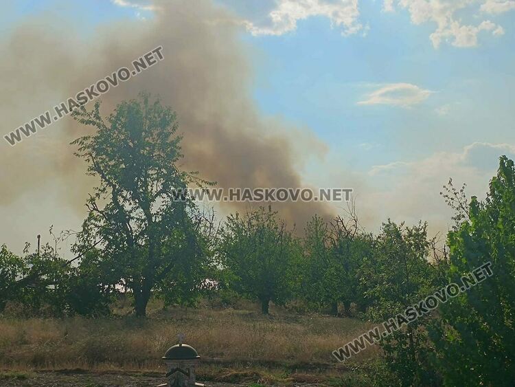 Пожар избухна в гората край Крепост