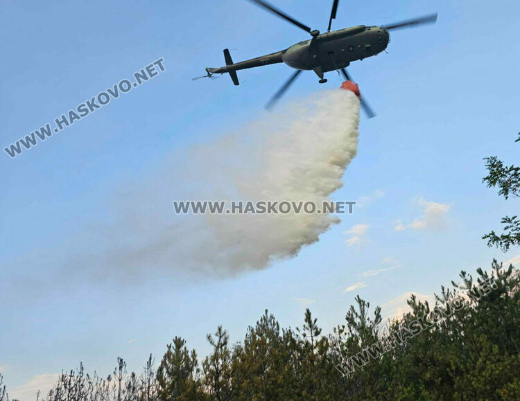 Изгоряха вили и ферма с овце при пожара край Харманли, пострадаха пожарникари