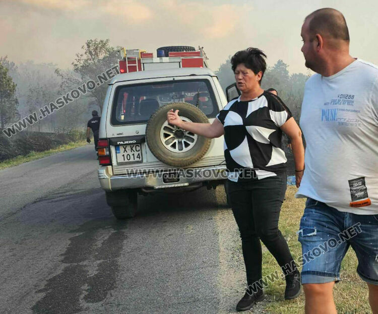 Изгоряха вили и ферма с овце при пожара край Харманли, пострадаха пожарникари