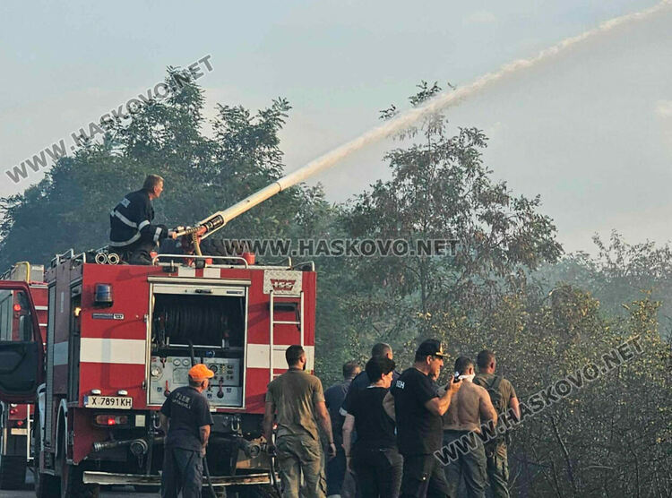 Изгоряха вили и ферма с овце при пожара край Харманли, пострадаха пожарникари