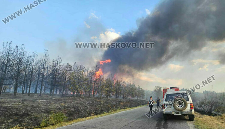 Изгоряха вили и ферма с овце при пожара край Харманли, пострадаха пожарникари