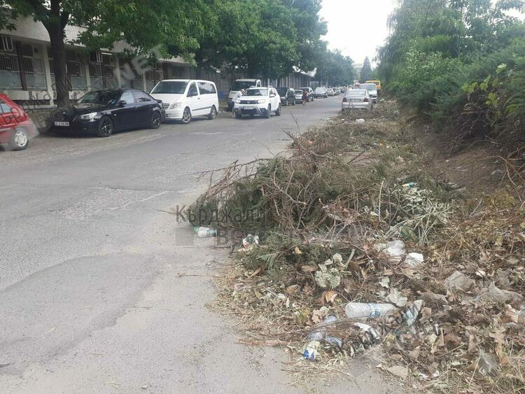 Изрязаха храстите в локално на бул.”Христо Ботев”,повече от седмица пречат на паркирането