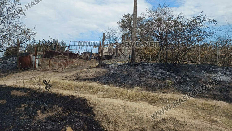 8 вили, ферма с 200 овце и 6 складови конструкции са изгорели при пожара край Харманли