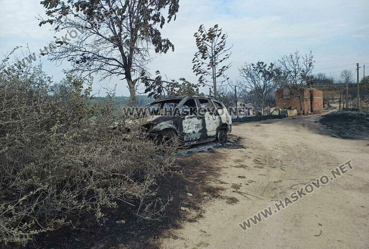 8 вили, ферма с 200 овце и 6 складови конструкции са изгорели при пожара край Харманли