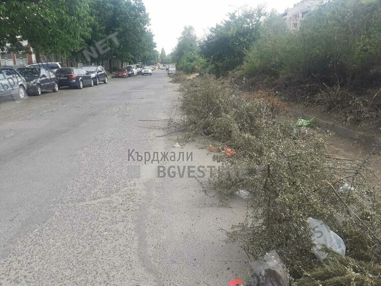 Изрязаха храстите в локално на бул.”Христо Ботев”,повече от седмица пречат на паркирането