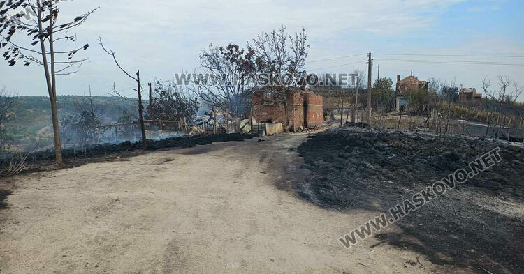 8 вили, ферма с 200 овце и 6 складови конструкции са изгорели при пожара край Харманли