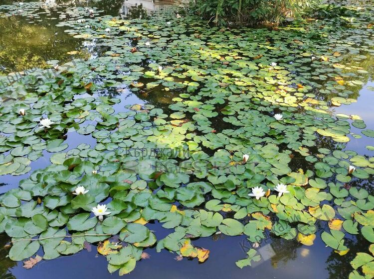 Леко захлаждане днес в Кърджали,кодът за опасни горещини е жълт