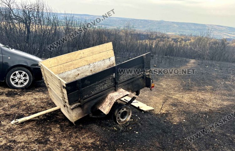 Държавата ще помогне за възстановяването на изгорялата ферма с 250 овце