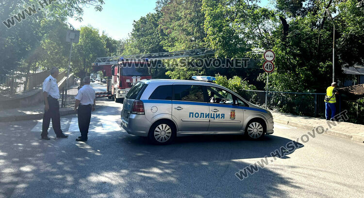 Затвориха улица "Стара планина" заради рязане на клони