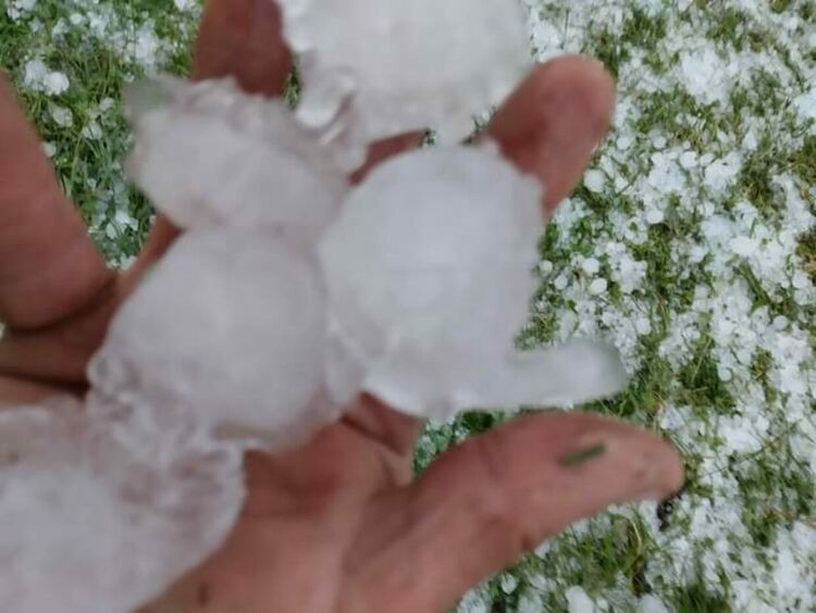 Градушка колкото орех унищожи 90% от посевите в Горна Арда