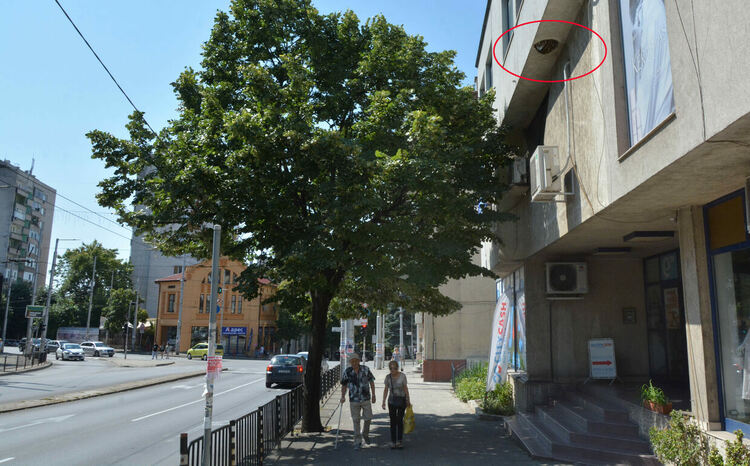 Огромно гнездо на пчели се появи в центъра на Хасково