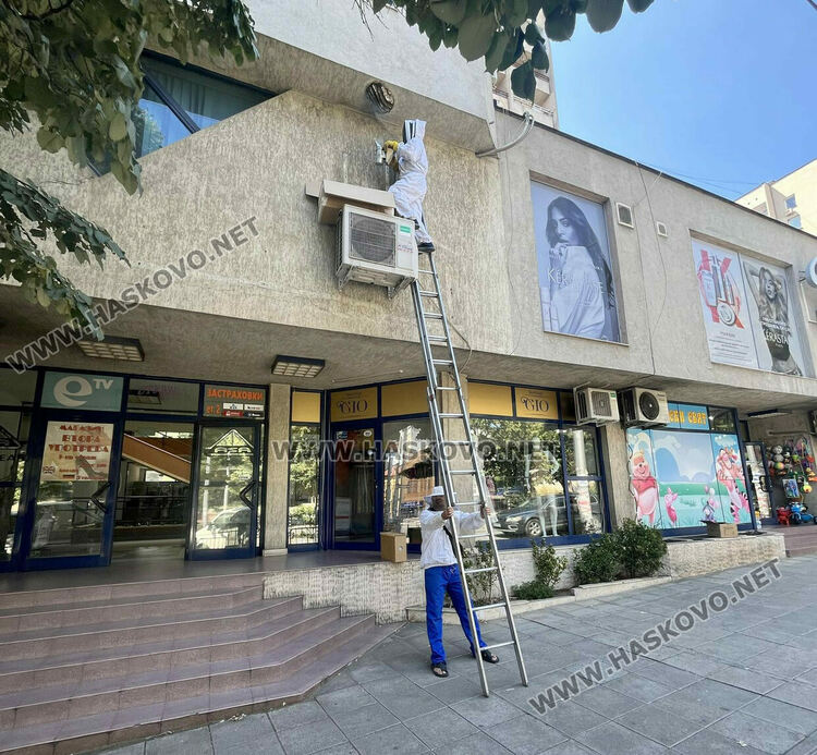 Спасиха пчелите, изградили гнездо в центъра на Хасково