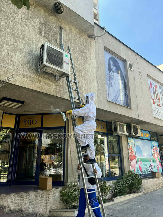 Спасиха пчелите, изградили гнездо в центъра на Хасково