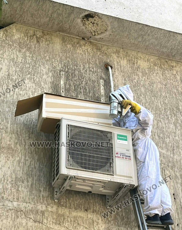 Спасиха пчелите, изградили гнездо в центъра на Хасково