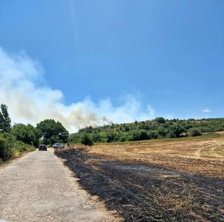 Голям пожар в местността "40-те извора"