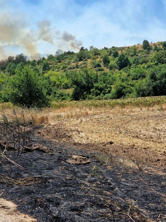 Голям пожар в местността "40-те извора"