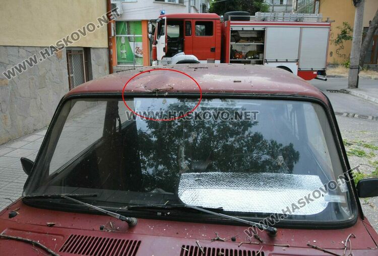 Силният вятър събори дърво върху кола в Хасково