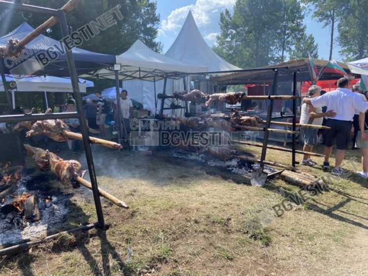 Гайдари от 7 до 79-годишна възраст мерят сили на надсвирването край Гела