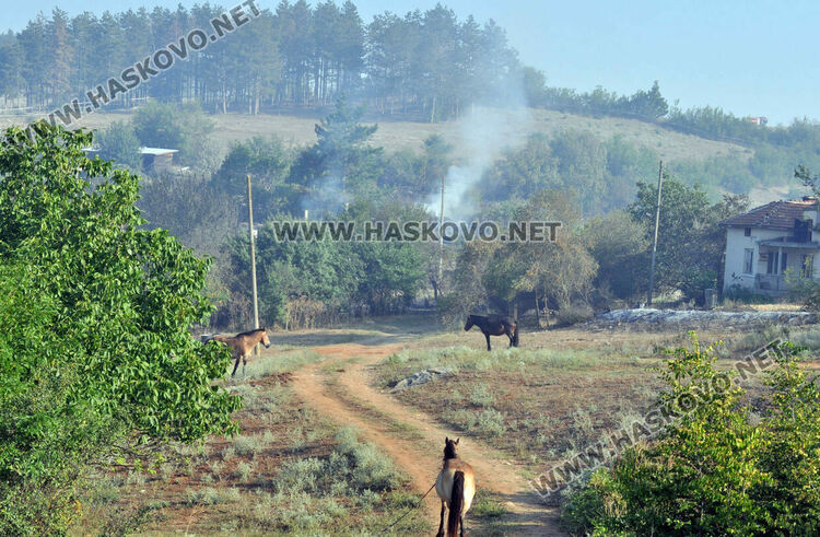 25 семейства получиха помощи за щети от пожарите 