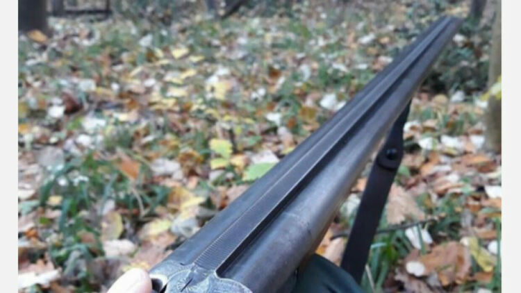 Дни преди началото на новия ловен сезон в Трънско е подписан договор за концесия за стопанисване и управление на дивечовите запаси