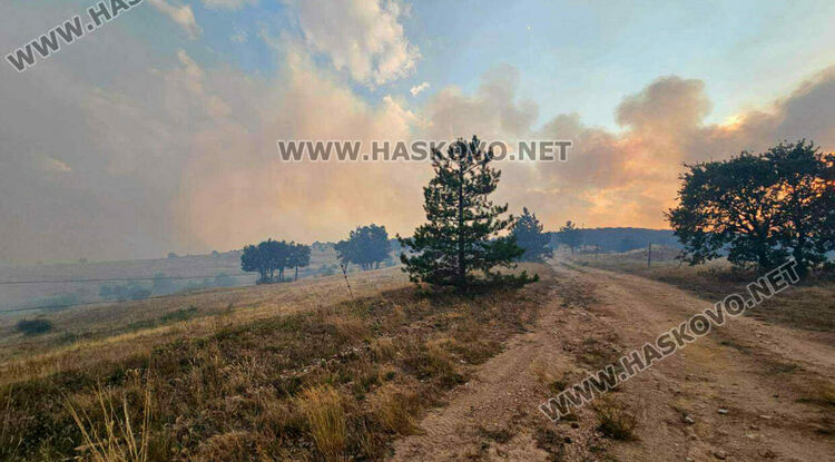 12 000 дка гора, треви и храсти са изпепелени при пожар в Сакар планина, остават затворени пътища