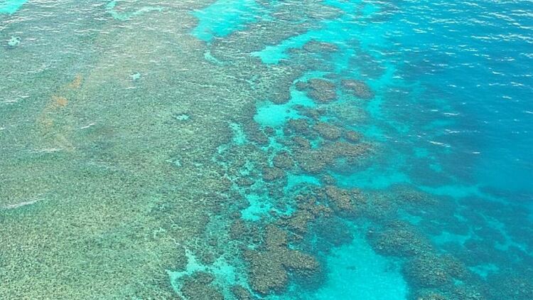 Водите около Големия бариерен риф най-топли от 4 века насам