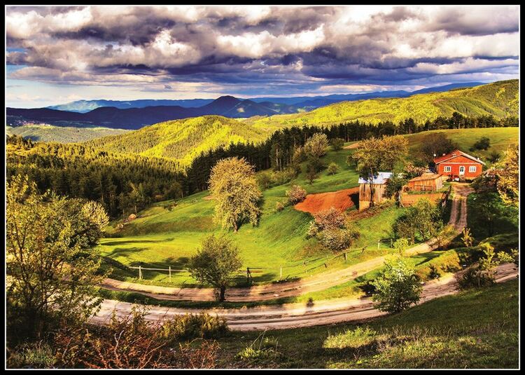 Д-р Мирчев спечели 6 отличия на престижен арт конкурс в Лондон