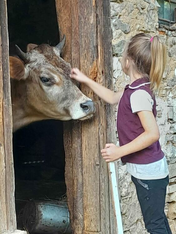 За пример! Деветгодишната Елена дои един месец крави и дари парите за лечението на млада майка