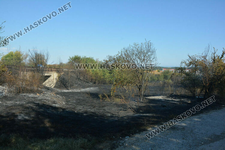 Пожарът край Хасково засегна къща, унищожи пристройки и фотоволтаична централа