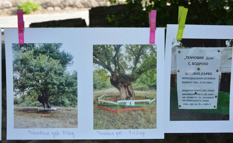 Претвориха любовта на децата към Бодрово във фотоизложба