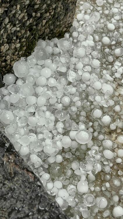 Снимка: Фейсбук Йорданка Попова