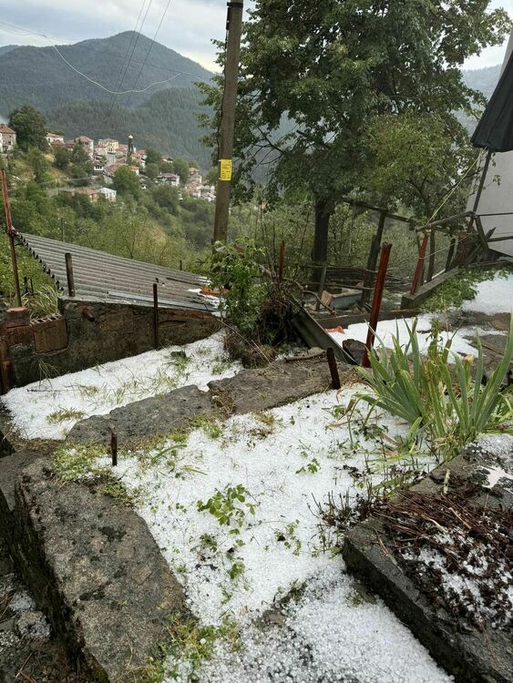 Снимка: Фейсбук Йорданка Попова