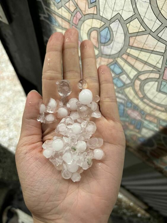 Снимка: Фейсбук Йорданка Попова