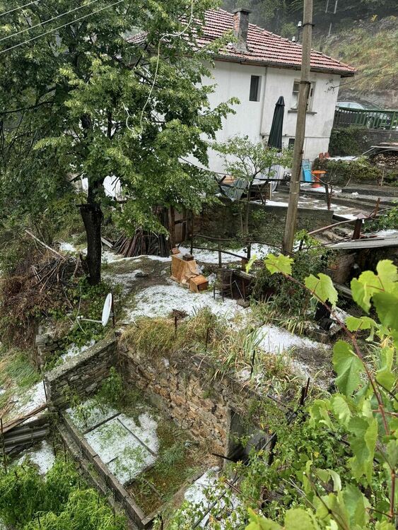 Снимка: Эейсбук Йорданка Попова