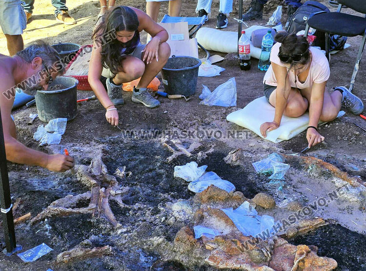 Археолози разкриха уникални златни находки в тополовградско село