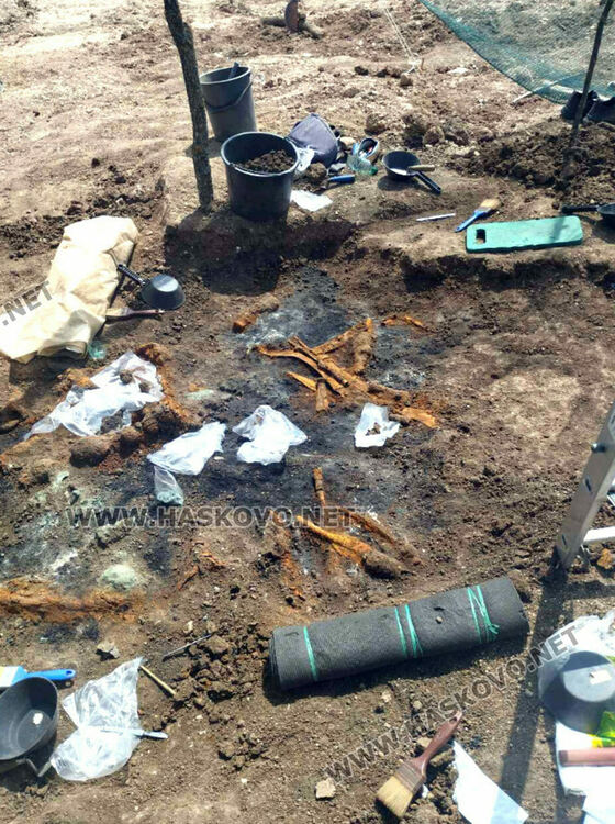 Археолози разкриха уникални златни находки в тополовградско село